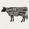 silhouette of a cow filled with labeled meat cuts offered at WP Meat Co in Enfield, Illinois