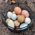 eggs offered at WP Meat Co in Enfield, Illinois.