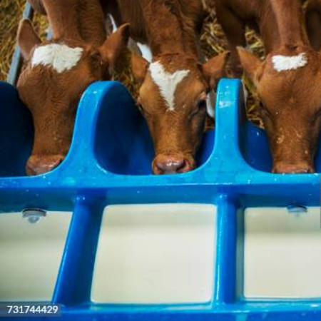 Raw milk for pets offered at WP Meat Co in Enfield, Illinois.